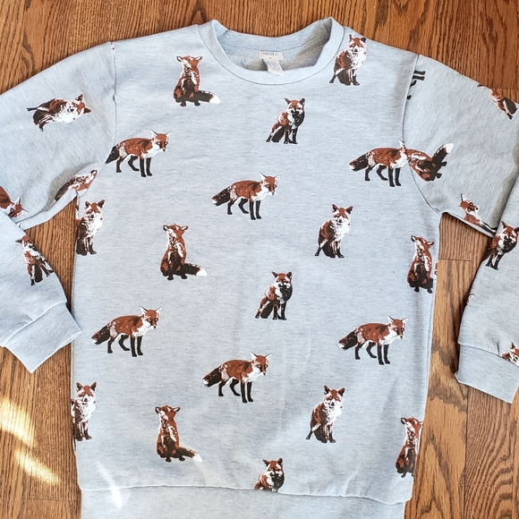 Forever 21 Other - Boy's Fox Sweater